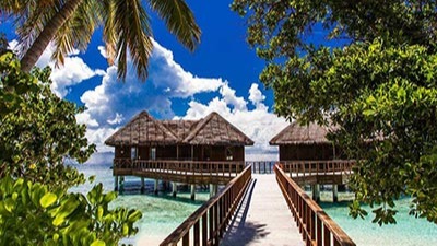 旅游度假景觀生態(tài)設計的原則有哪些？