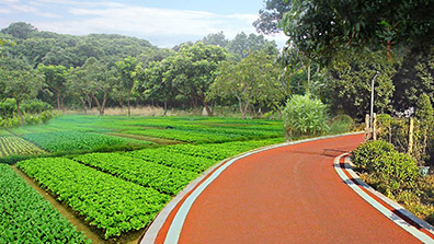 美環(huán)境，惠民生，繪就美麗圩鎮(zhèn)實(shí)景圖