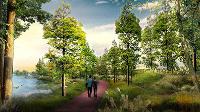 濕地公園價值及保護意義分析